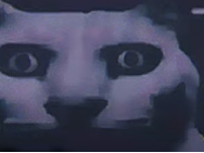 rsrc/Screenshot 2026-03-12 175308.png image